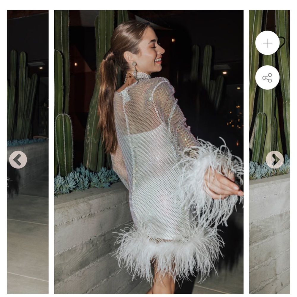 UNTAMED PETALS DISCO SHEER DRESS